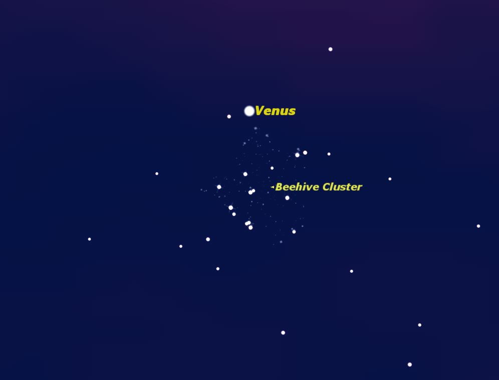 See Venus Near Cosmic Beehive Tonight